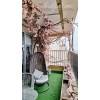 درخت رونده مصنوعی برای بالاکن
